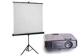 Projection Systems and Professional Displays
