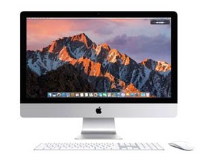 Desktop and Laptop