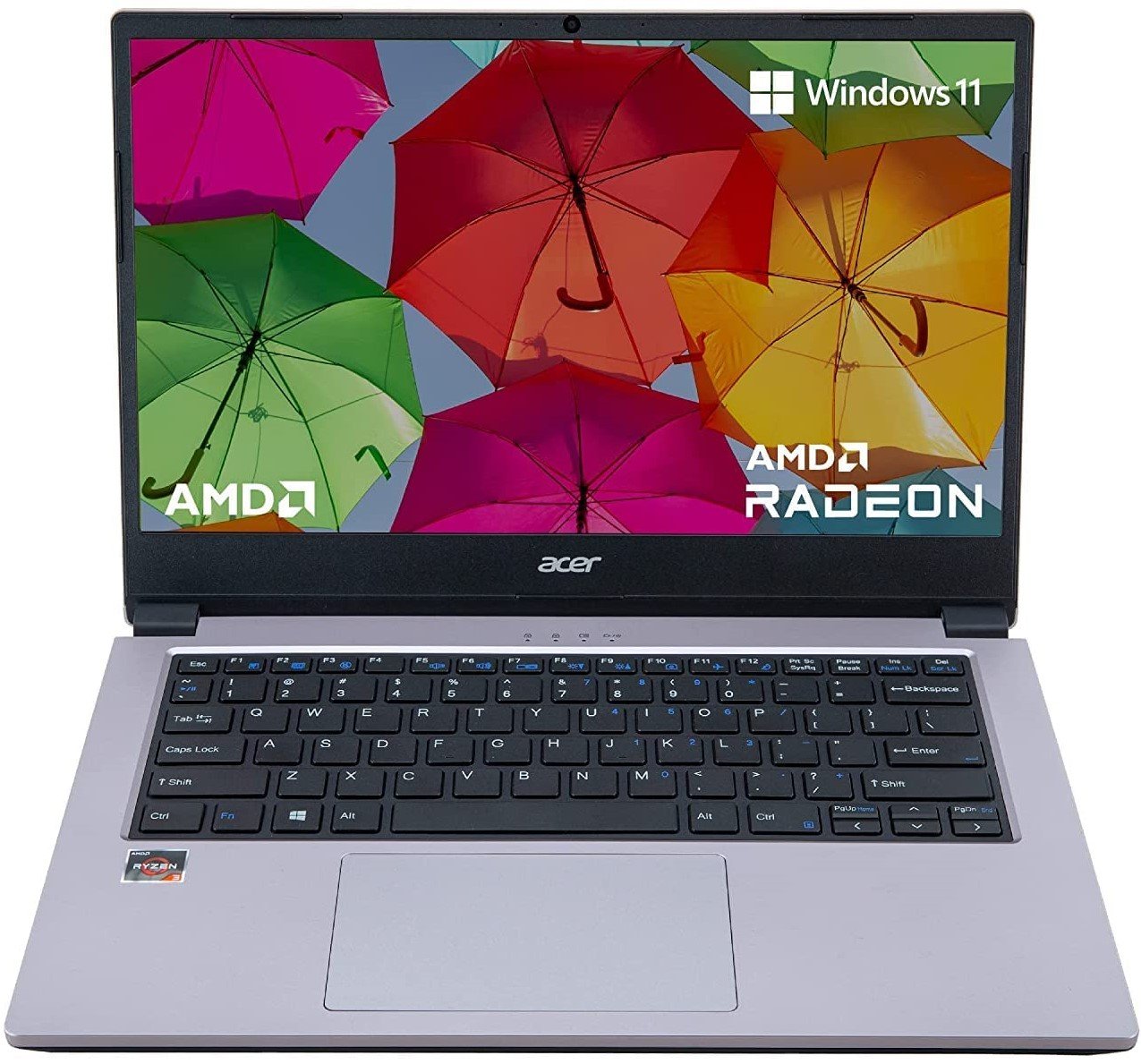 Desktop and Laptop